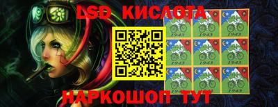гашик Тверь