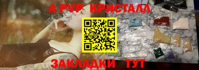 гашик Тверь